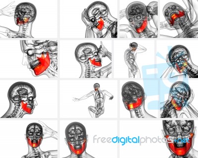 3d Rendering Illustration Of Jaw Bone Stock Image