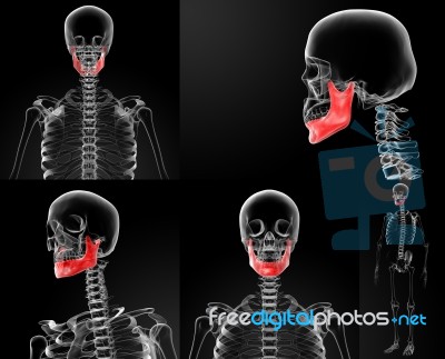 3d Rendering Illustration Of  Jaw Bone Stock Image