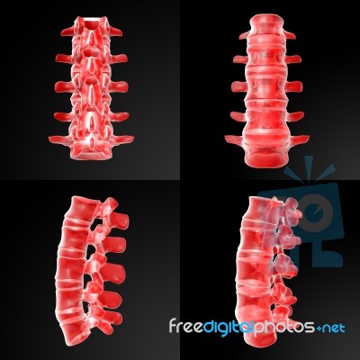 3d Rendering Illustration Of Lumbar Stock Image