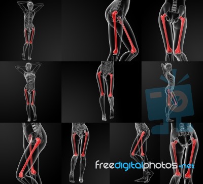 3d Rendering Illustration Of The Femur Bone Stock Image