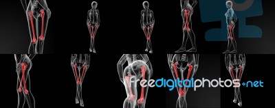 3d Rendering Illustration Of The Femur Bone Stock Image