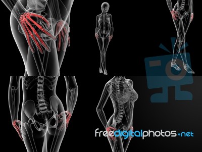 3d Rendering Illustration Of The Hand Bone Stock Image