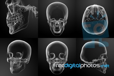 3d Rendering Illustration Of The Skull Stock Image