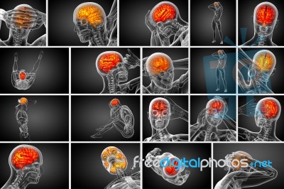 3d Rendering Medical Illustration Of The Brain Stock Image