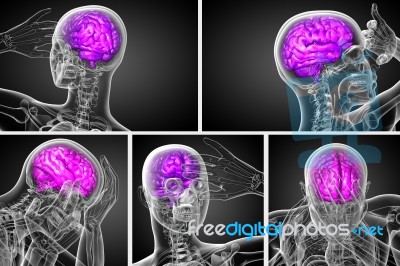 3d Rendering Medical Illustration Of The Brain Stock Image