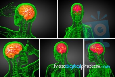 3d Rendering Medical Illustration Of The Brain Stock Image