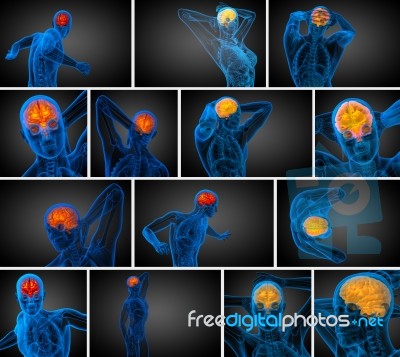 3d Rendering Medical Illustration Of The Brain Stock Image