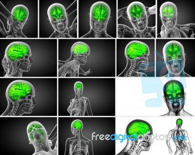 3d Rendering Medical Illustration Of The Brain Stock Image