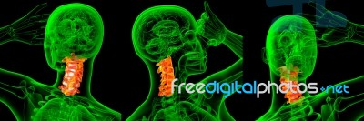 3d Rendering Medical Illustration Of The Cervical Spine Stock Image