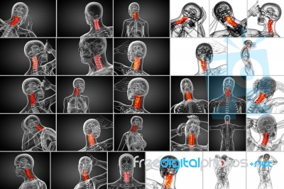 3d Rendering Medical Illustration Of The Cervical Spine Stock Image