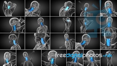 3d Rendering Medical Illustration Of The Cervical Spine Stock Image