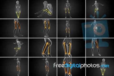 3d Rendering Medical Illustration Of The Femur Bone Stock Image