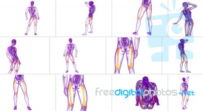 3d Rendering Medical Illustration Of The Femur Bone Stock Image