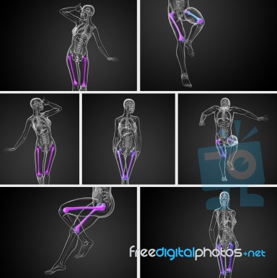 3d Rendering Medical Illustration Of The Femur Bone Stock Image