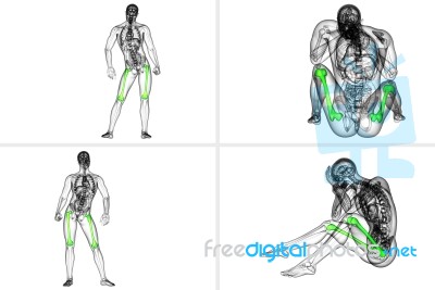 3d Rendering Medical Illustration Of The Femur Bone Stock Image