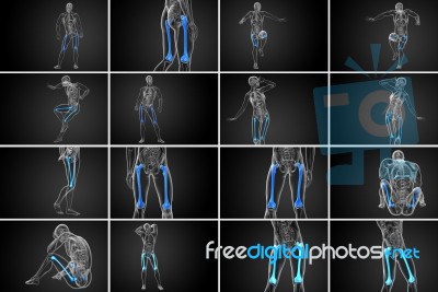 3d Rendering Medical Illustration Of The Femur Bone Stock Image