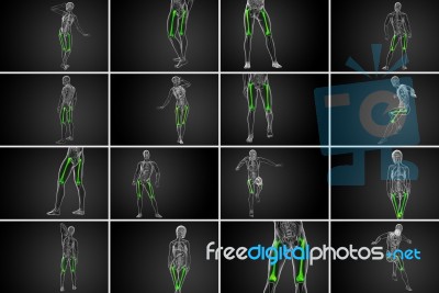 3d Rendering Medical Illustration Of The Femur Bone Stock Image