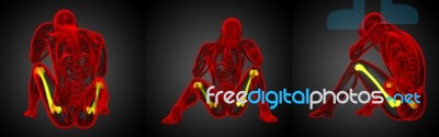 3d Rendering Medical Illustration Of The Femur Bone Stock Image