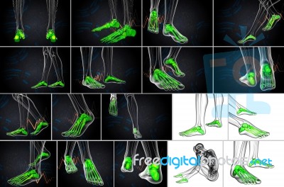 3d Rendering Medical Illustration Of The Foot Bone Stock Image