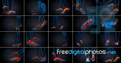 3d Rendering Medical Illustration Of The Foot Bone Stock Image