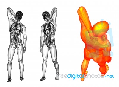 3d Rendering Medical Illustration Of The Human Stock Image