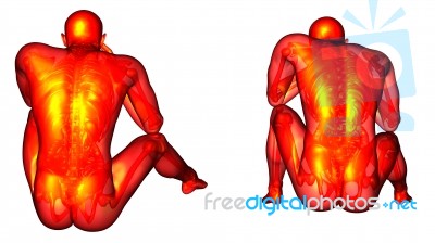 3d Rendering Medical Illustration Of The Human Anatomy Stock Image