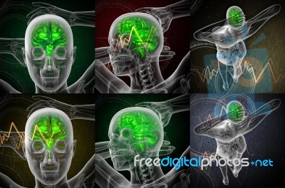 3d Rendering Medical Illustration Of The Human Brain Stock Image