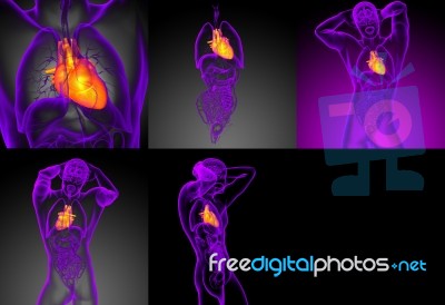 3d Rendering Medical Illustration Of The Human Heart Stock Image