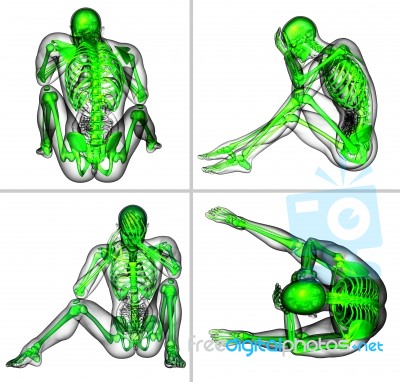 3d Rendering Medical Illustration Of The Human Skeleton Stock Image