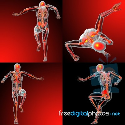 3d Rendering Medical Illustration Of The Human Skeleton Stock Image