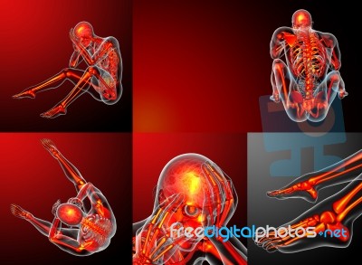 3d Rendering Medical Illustration Of The Human Skeletonl Stock Image