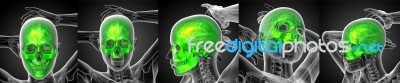 3d Rendering Medical Illustration Of The Human Skull Stock Image