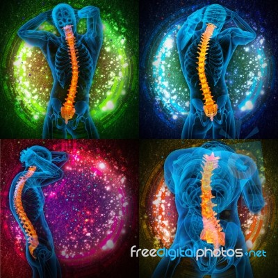 3d Rendering Medical Illustration Of The Human Spine Stock Image