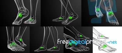 3d Rendering Medical Illustration Of The Midfoot Bone Stock Image