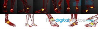 3d Rendering Medical Illustration Of The Midfoot Bone Stock Image