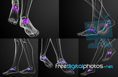 3d Rendering Medical Illustration Of The Midfoot Bone Stock Image