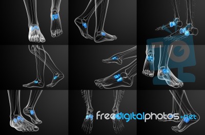 3d Rendering Medical Illustration Of The Midfoot Bone Stock Image