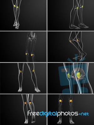 3d Rendering Medical Illustration Of The Patella Bone Stock Image