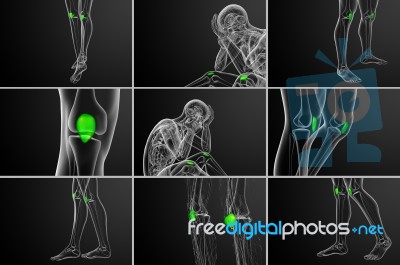 3d Rendering  Medical Illustration Of The Patella Bone Stock Image