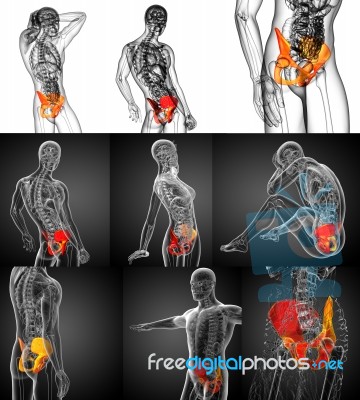 3d Rendering Medical Illustration Of The Pelvis Bone Stock Image