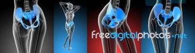 3d Rendering Medical Illustration Of The Pelvis Bone Stock Image