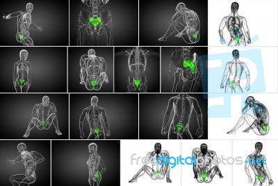 3d Rendering Medical Illustration Of The Sacrum Bone Stock Image