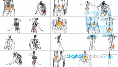 3d Rendering Medical Illustration Of The Sacrum Bone Stock Image