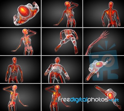 3d Rendering Medical Illustration Of The Skeleton Bone Stock Image