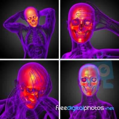 3d Rendering  Medical Illustration Of The Skull Stock Image