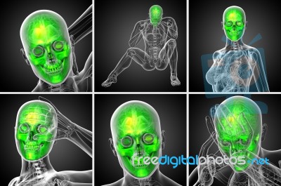 3d Rendering  Medical Illustration Of The Skull Stock Image