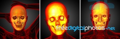 3d Rendering Medical Illustration Of The Skull Stock Image