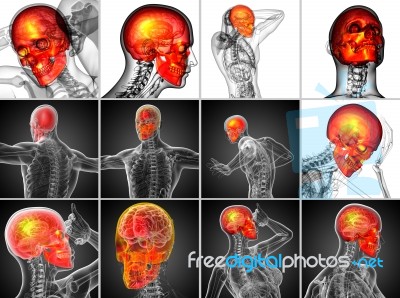 3d Rendering Medical Illustration Of The Skull Stock Image