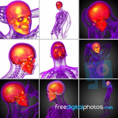 3d Rendering  Medical Illustration Of The Skull Stock Image