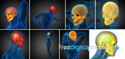 3d Rendering  Medical Illustration Of The Skull Stock Image